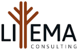 Liyema Consulting